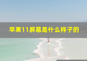 苹果11屏幕是什么样子的