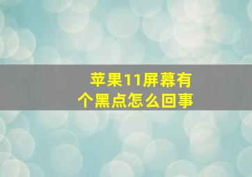 苹果11屏幕有个黑点怎么回事