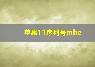 苹果11序列号mhe