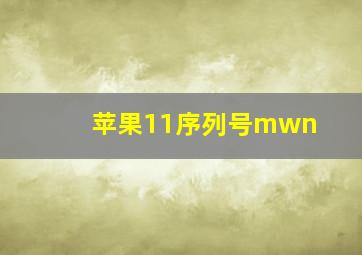 苹果11序列号mwn