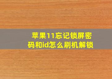 苹果11忘记锁屏密码和id怎么刷机解锁