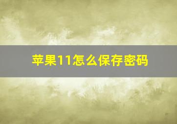 苹果11怎么保存密码