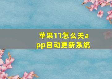 苹果11怎么关app自动更新系统