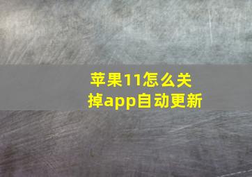 苹果11怎么关掉app自动更新