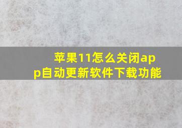 苹果11怎么关闭app自动更新软件下载功能