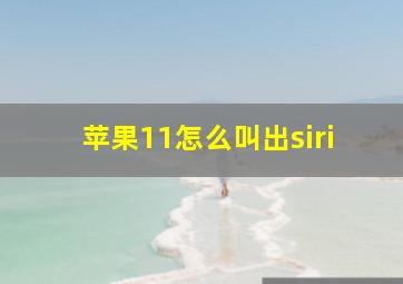 苹果11怎么叫出siri