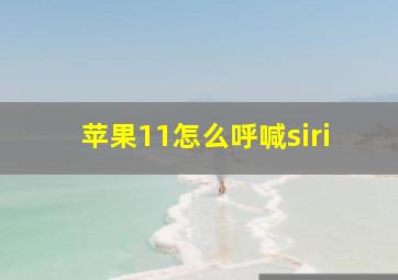 苹果11怎么呼喊siri