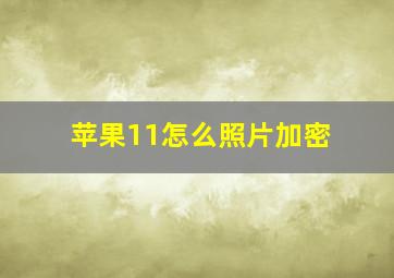 苹果11怎么照片加密