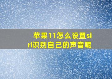 苹果11怎么设置siri识别自己的声音呢