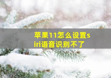 苹果11怎么设置siri语音识别不了