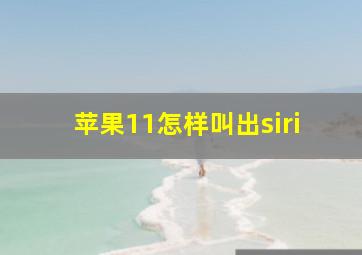 苹果11怎样叫出siri