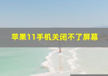 苹果11手机关闭不了屏幕