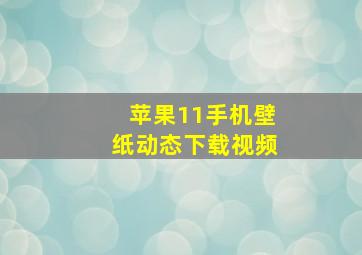 苹果11手机壁纸动态下载视频