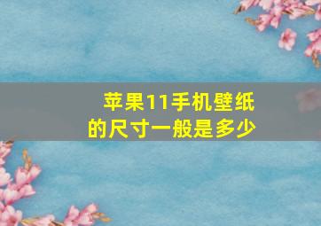 苹果11手机壁纸的尺寸一般是多少