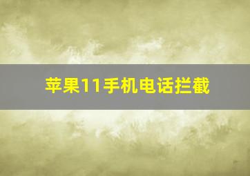 苹果11手机电话拦截