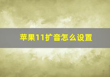 苹果11扩音怎么设置