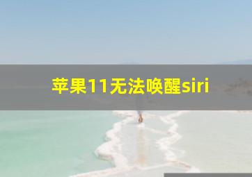 苹果11无法唤醒siri