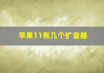 苹果11有几个扩音器