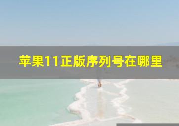 苹果11正版序列号在哪里