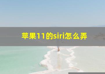 苹果11的siri怎么弄