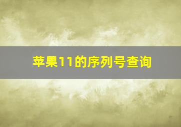 苹果11的序列号查询