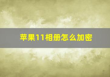 苹果11相册怎么加密