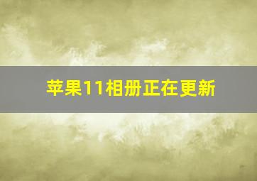 苹果11相册正在更新