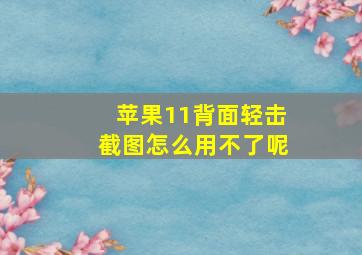 苹果11背面轻击截图怎么用不了呢