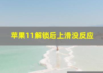 苹果11解锁后上滑没反应