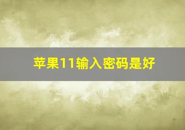 苹果11输入密码是好