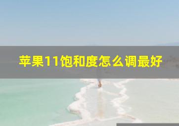 苹果11饱和度怎么调最好