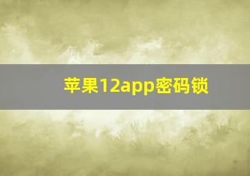 苹果12app密码锁