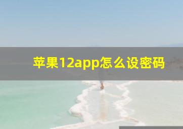 苹果12app怎么设密码