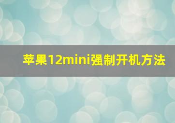 苹果12mini强制开机方法