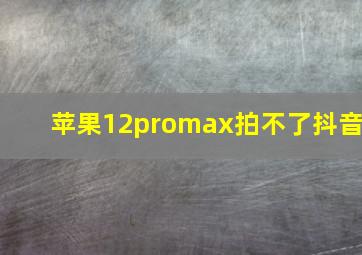 苹果12promax拍不了抖音