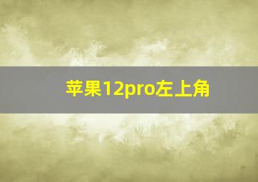 苹果12pro左上角