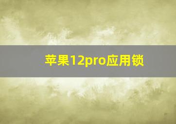 苹果12pro应用锁