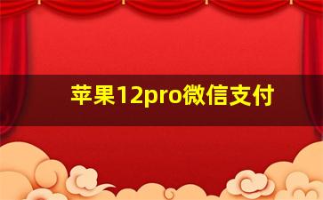 苹果12pro微信支付