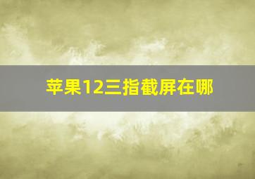 苹果12三指截屏在哪