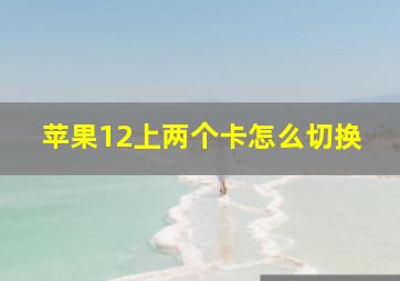 苹果12上两个卡怎么切换