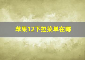 苹果12下拉菜单在哪