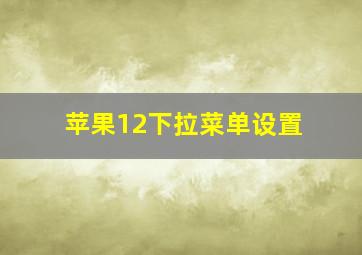 苹果12下拉菜单设置