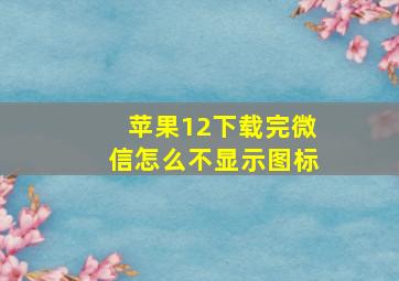 苹果12下载完微信怎么不显示图标