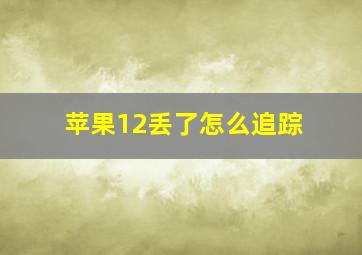 苹果12丢了怎么追踪