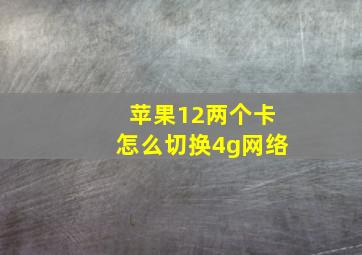 苹果12两个卡怎么切换4g网络