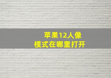 苹果12人像模式在哪里打开