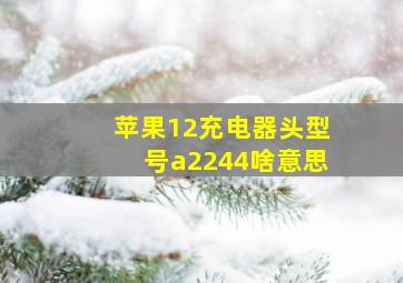 苹果12充电器头型号a2244啥意思