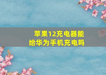 苹果12充电器能给华为手机充电吗