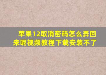 苹果12取消密码怎么弄回来呢视频教程下载安装不了