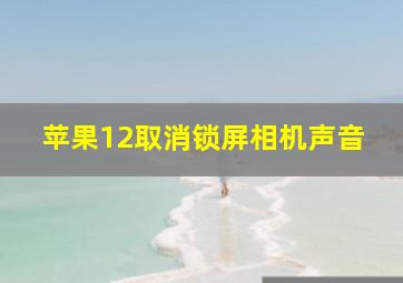 苹果12取消锁屏相机声音